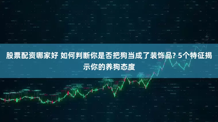 股票配资哪家好 如何判断你是否把狗当成了装饰品? 5个特征揭示你的养狗态度