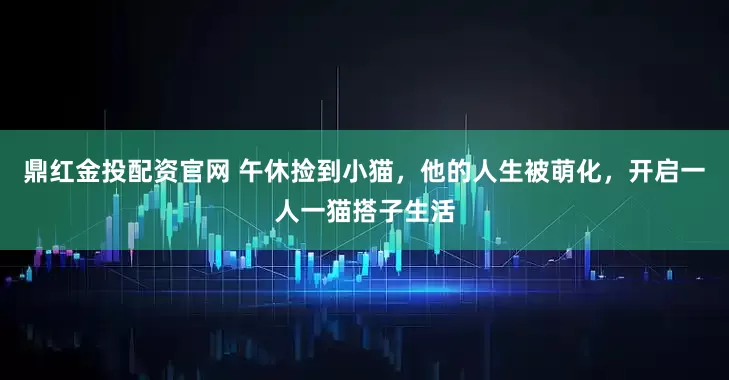 鼎红金投配资官网 午休捡到小猫，他的人生被萌化，开启一人一猫搭子生活