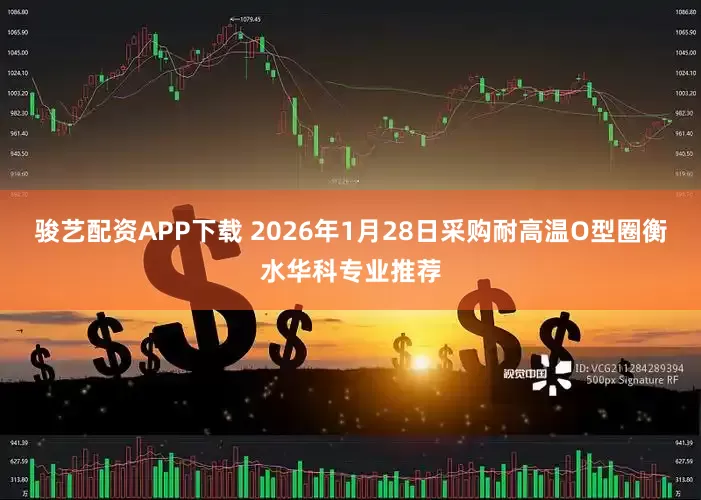 骏艺配资APP下载 2026年1月28日采购耐高温O型圈衡水华科专业推荐